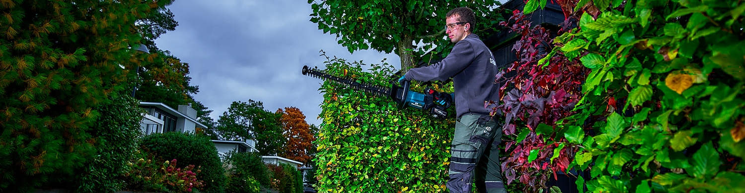 XGT 40 V Max Heggenschaar